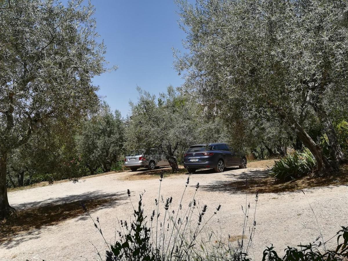 Casa Vacanze "Alcentro" Assisi Exterior foto